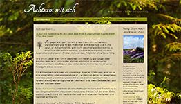 Achtsamkeit in Bergedorf - Cyrus Ashrafi, Websitereferenz